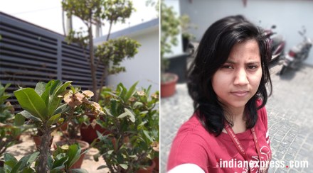 Donald Trump, canada, justin trudeau, white house, white house burnt in 1812 war, united states Donald Trump, canada, justin trudeau, white house, white house burnt in 1812 war, united states