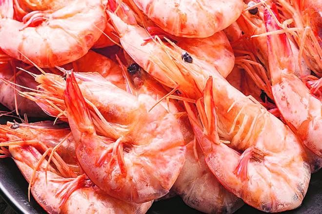 India’s shrimp exports to US seen robust India’s shrimp exports to US seen robust