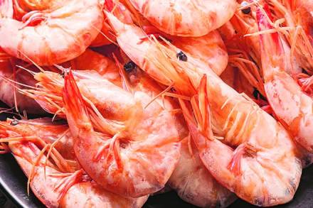 India’s shrimp exports to US seen robust