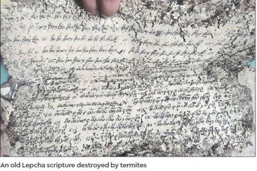 Rong Ring: How a communication designer is trying to create new font for endangered Sikkimese language Lepcha