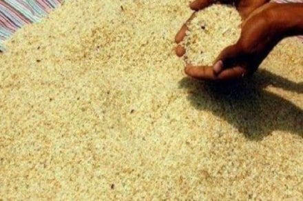 A major rice market in the world, China currently allows import of basmati rice from India. (Image: PTI)