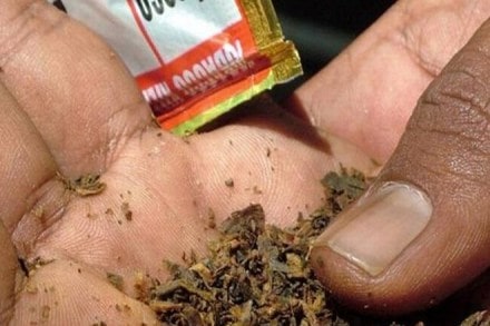 Bihar government against consumption of gutkha, khaini; but not to seek ban - India News | The Financial Express