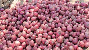 MEIS, DGFT, APMC, MEIS benefits, Lasalgaon market , kharif onion, kharif production