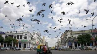 cloudy, Delhi, temperature, sky, humidity, air quality, weather forecasting