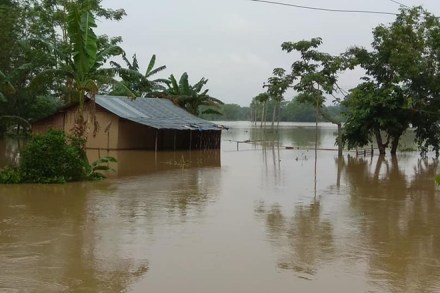 A view of flood hit Kampur village in Assam's Nagaon (IANS)