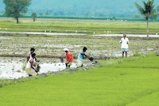 Maharashtra farmer bodies, maharashtra, sugarcane farmers, sugarcane