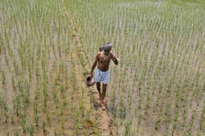telangana, telangana farmers, telangana farmers insurance scheme, telangana farmers 8000, telangana farmers scheme, telangana farmers movement, telangana new passbook, telangana farmers passbook, telangana cm, telangana news, telangana capital, k chandrasekhar rao, telangana k chandrasekhar rao
