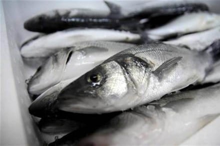 Goan fish patty, guinness book of world record, 269 kg Goan fish patty, world's biggest fish patty