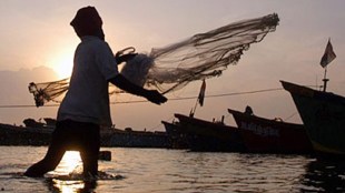 juvenile fishing, fisheries sector, fisheries economic loss, CMFRI