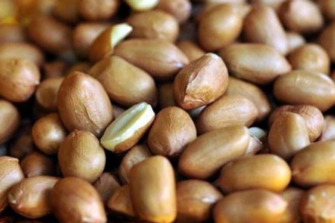 Gujarat, Gujarat government, Nafed groundnut procurement,  minimum support price, Grofed, groundnut in Gujarat