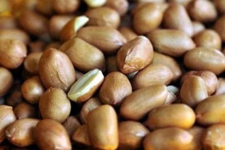 Gujarat, Gujarat government, Nafed groundnut procurement,  minimum support price, Grofed, groundnut in Gujarat