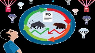 ipo. ipo sector