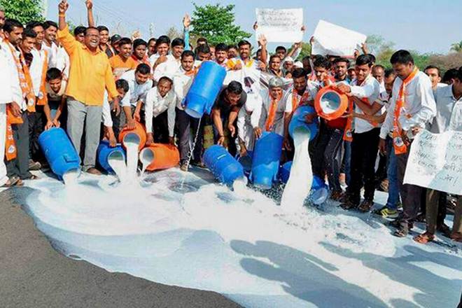 dairy farmers crisis
