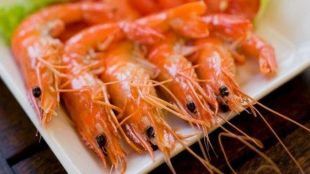 india, shrimp production, shrimp production growth 