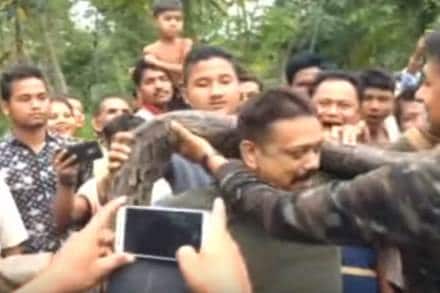 snake video