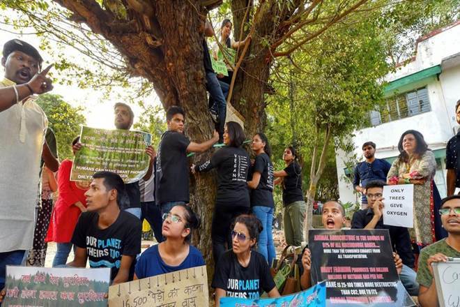 tree felling, tree felling protest, govt colony development, delhi tree felling, nbcc, cpwd, ministry of housing and urban affairs, hardeep puri, dda, urban housing ministry