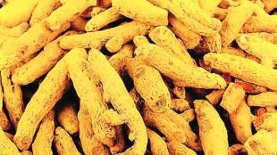 turmeric, haldi, cancer, cancer cure, cancer treatment