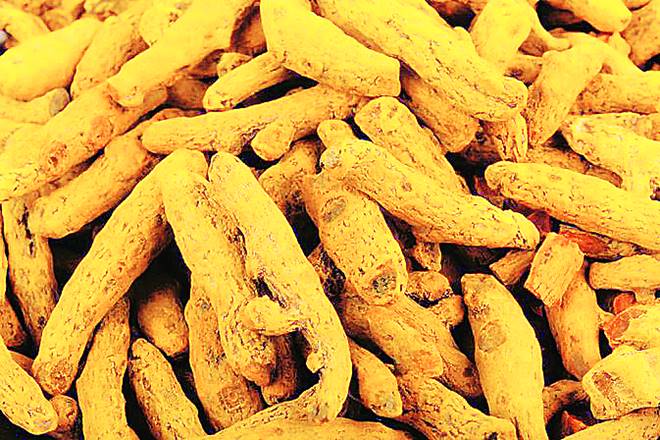 turmeric, haldi, cancer, cancer cure, cancer treatment