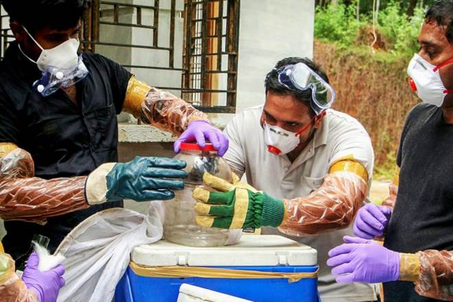 Kerala govt, Nipah virus, Kerala Health Minister, Shailaja, Nipah 