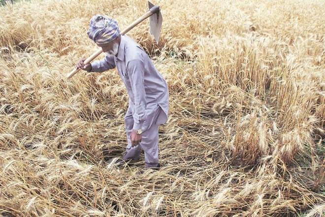 Government needs to work on alleviating farm distress