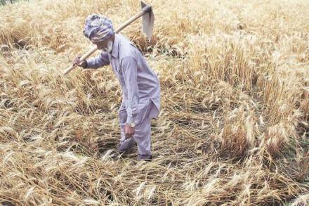 Government needs to work on alleviating farm distress