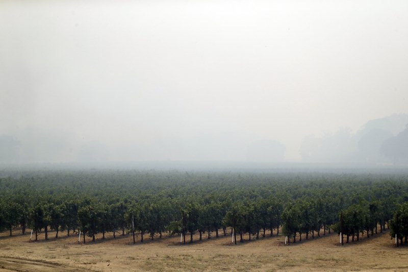 california, california wildfire, california wildfire 2018, california wildfire news, california wildfire pictures, california wildfire pics, california wildfire images, california fire, california fire news, california fire 2018, california fire pictures, california fire pics, california fire images, california forest fire, california forest fire 2018, california forest fire today, california forest fire news