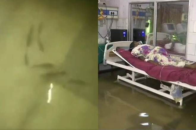 bihar, bihar rain, heavy rain, patna, patna rains, bihar heavy rain, fish in ICU, Bihar Hospital, Nalanda Medical College Hospital, india bihar, bihar rain, heavy rain, patna, patna rains, bihar heavy rain, fish in ICU, Bihar Hospital, Nalanda Medical College Hospital, india
