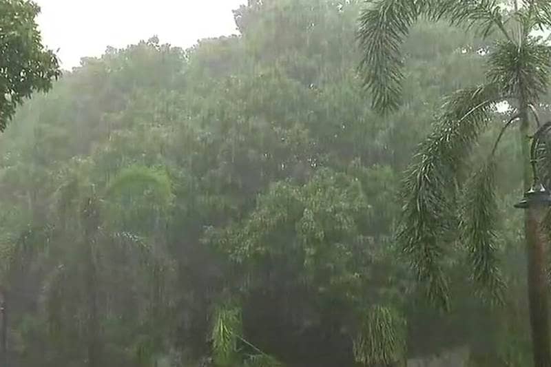 DELHI RAINS