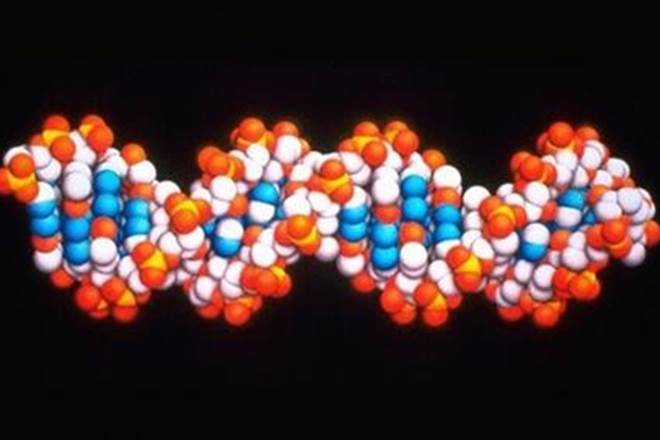Artificial intelligence, DNA, molecular handwriting, Artificial neural networks, Human handwriting, science