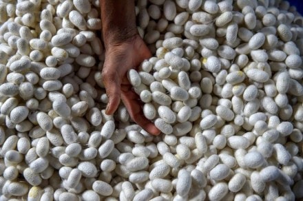 Karenjit Kaur The Untold Story Of Sunny Leone, Karenjit Kaur The Untold Story Of Sunny Leone trailer, Karenjit Kaur trailer, sunny leone, sunny leone trailer, sunny leone biopic trailer, sunny leone biopic, entertainment news