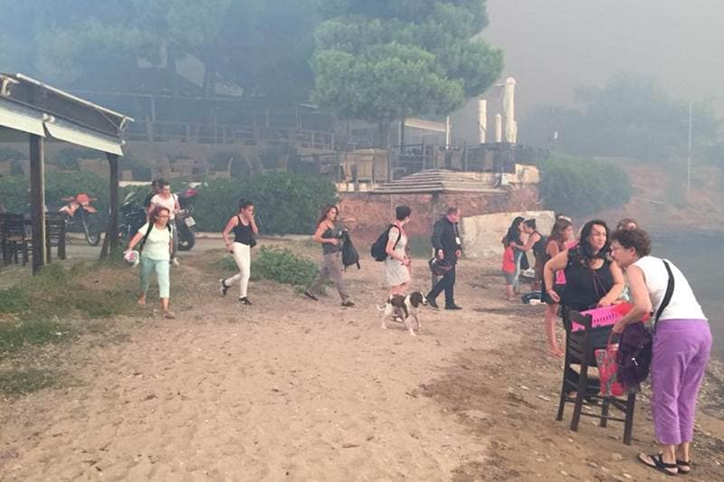 athens greece wildfires, greece news, greece fires, greece forest fire, greece wildfire, greece fires today, athens fire, athens forest fire, greece wildfire news, greek wildfire, greek fire photos