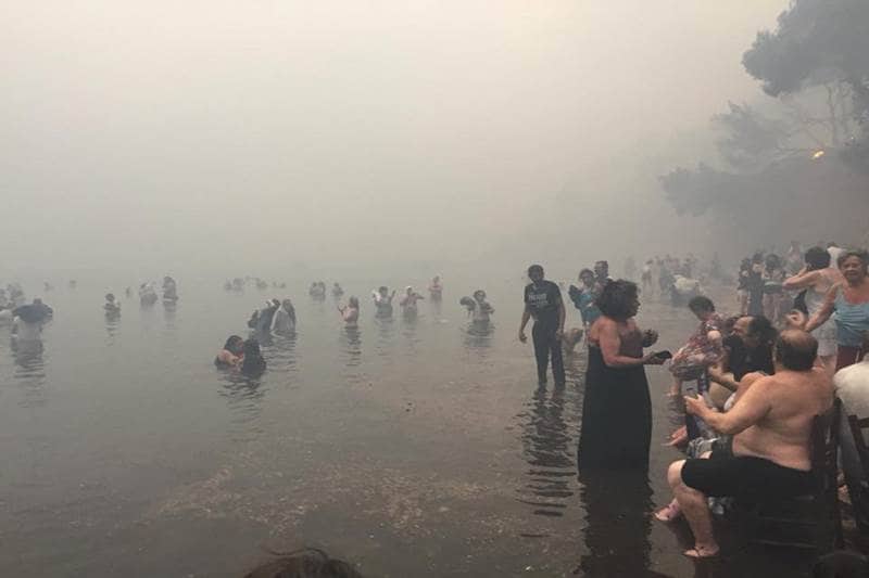 athens greece wildfires, greece news, greece fires, greece forest fire, greece wildfire, greece fires today, athens fire, athens forest fire, greece wildfire news, greek wildfire, greek fire photos