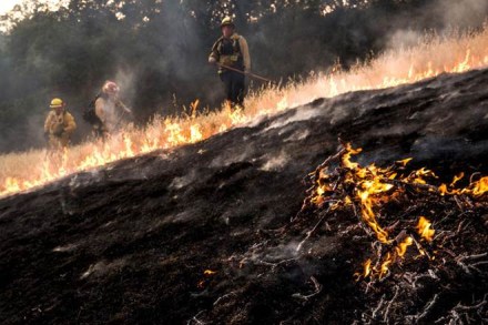 Firefighters work to dig a fire line on the Rocky Fire in Lake County, California July 30, 2015. The Rocky Fire broke out on Wednesday afternoon in Lake County, 110 miles (180 km) north of San Francisco. (Image: Reuters)