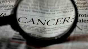 cancer, cancer treatment, mexico, fruit to cure cancer, chayote fruit