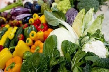 Indian vegetarian diets, vegetarian food, IDA, PFNDAI, IMRB, vegetarian diets lacks protein, health news
