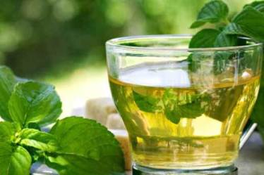 green tea, green tea benefits, green tea merits, red wine, congenital metabolic diseases, health news