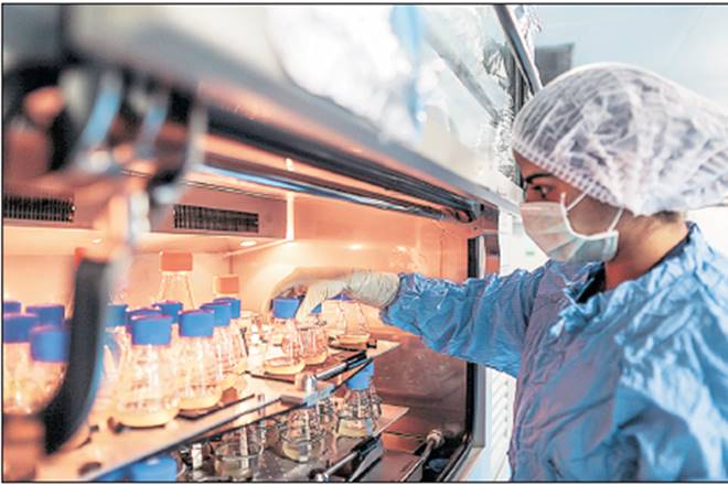 Biocon, European Union,  CGMP, Bangalore, US FDA, US FDA