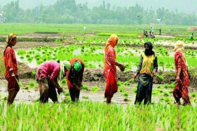 PDPS, Union Government, hike in MSP, kharif season,  Food Corporation of India, eNAM, Bhavantar Bhugtan Yojana