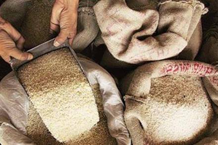 Basmati, export of basmati rice, ICAR, ICAR, Basmati variety 1121, MSP of kharif crops, farmer income