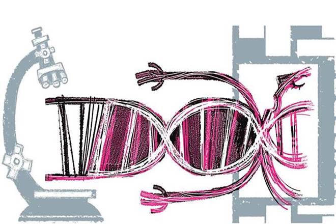 scientists, dna, dna scientist, genes, genetic, genetic engineers, human disease, DNA experiment, gene experiment, dna test, biotechnology