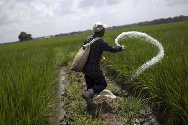 fertilises, industrial sector fertilises, industrial sector