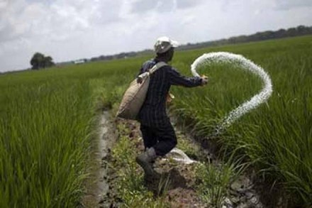 fertilises, industrial sector