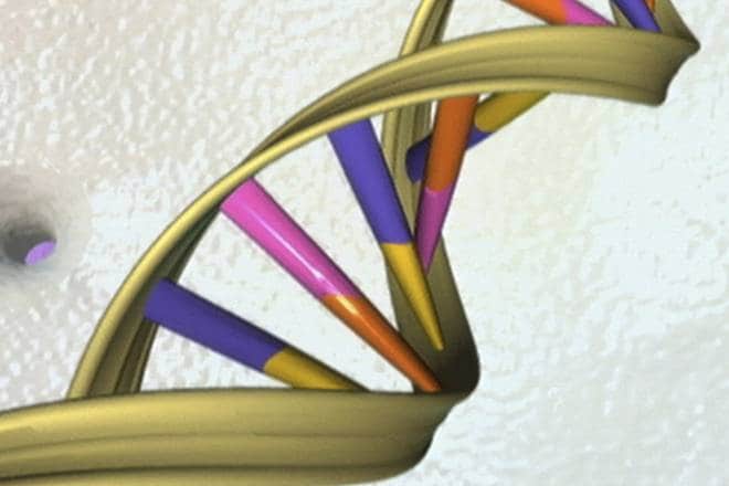 Scientists identify gene that helps to treat cancer, diabetes (Reuters)