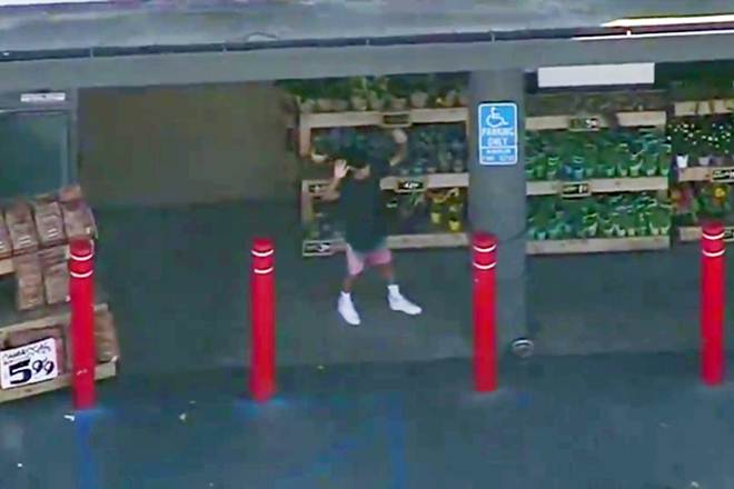 los angeles supermarket, Trader Joes, silver lake, donald trump, los angeles grocery store, silver lake supermarket, los angeles gunman, us shooting, los angeles store, silver lake store gunman, los angeles store gunmen, los angeles hostage, supermarket hostage los angeles, trader joes hostage los angeles supermarket, Trader Joes, silver lake, donald trump, los angeles grocery store, silver lake supermarket, los angeles gunman, us shooting, los angeles store, silver lake store gunman, los angeles store gunmen, los angeles hostage, supermarket hostage los angeles, trader joes hostage