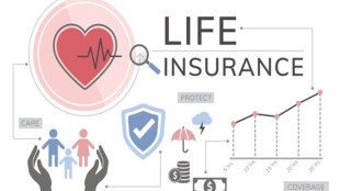 life insurance policy, life insurance policy details, life insurance policy plans in hindi, life insurance plans, why do i need term life insurance, business news in hindi