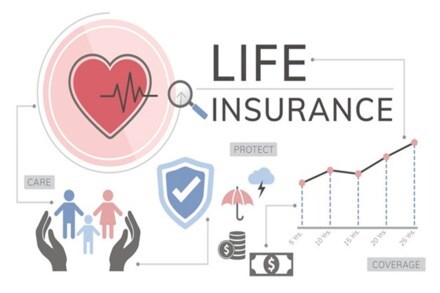 life insurance policy, life insurance policy details, life insurance policy plans in hindi, life insurance plans, why do i need term life insurance, business news in hindi
