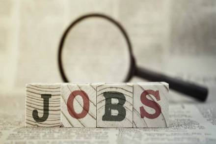 epfo data on jobs in india, jobs in india, job opportunity in india, india jobs, jobs in india financial express, number jobs in indian in 2017