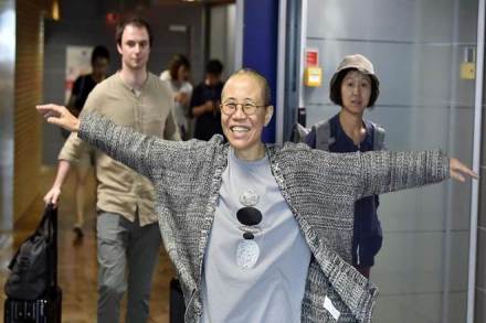 Chinese authorities had consistently maintained Liu was free but imposed severe restrictions on her movement and kept her under constant surveillance. (Reuters)