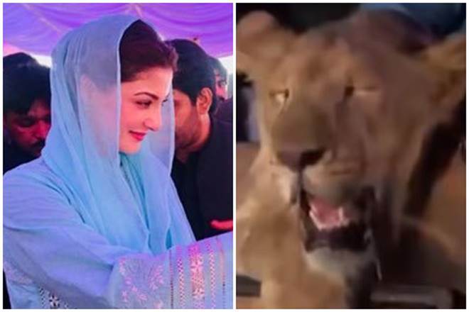 The former Premier's daughter will be facing Pakistan Tehreek-e-Insaf's Jamshed Iqbal Cheema in Lahore constituency. (Photo Source: Free News TV)
