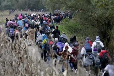 US, united states, donald trump, trump us, immigration law, trump immigration law, dna testing, immigration law dna testing,